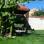Family Deja Vu