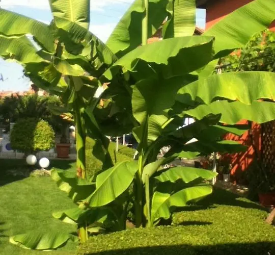 Отель Family Deja Vu 2*