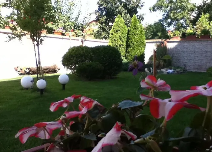 Отель Family Deja Vu 2*